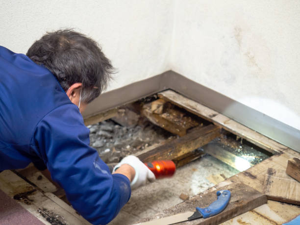 Best Crawl Space Mold Removal  in Rock Island, WA
