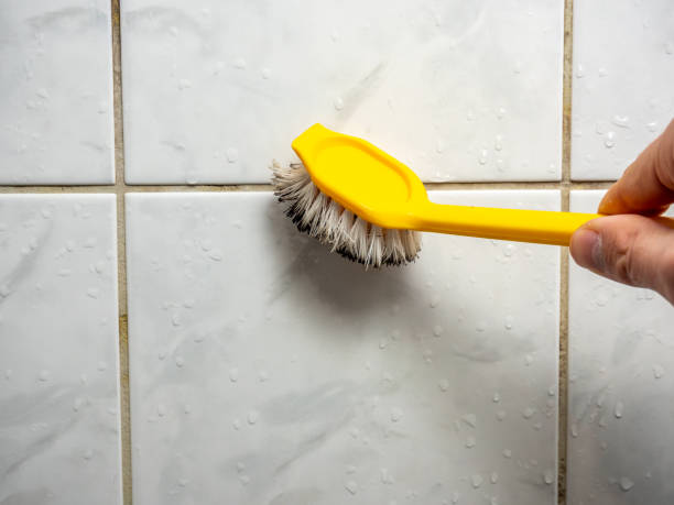 Best Attic Mold Removal  in Rock Island, WA