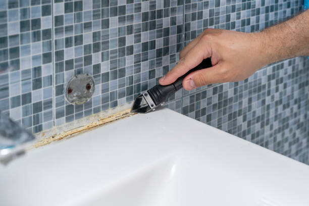 Best Best Mold Removal Companies  in Rock Island, WA